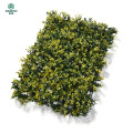 50x50cm fake high quality artificial boxwood mat/ panel for wall